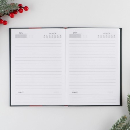 New Year. Diary Classic "New Year Miracles", 7BC A5, 80 sheets-1