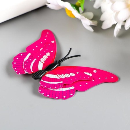 Magnet "Butterfly with double wings" 6x6.5 cm-3