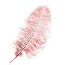 A feather for decor, length from 45 to 60 cm, color powder-violet