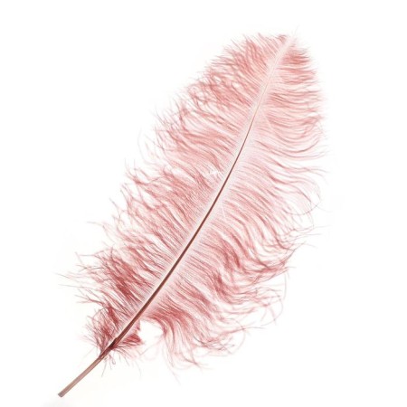 A feather for decor, length from 45 to 60 cm, color powder-violet