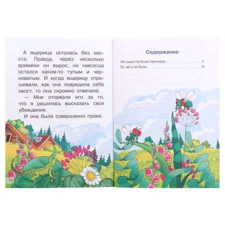 Frog traveler. What was not. Garshin V.-3