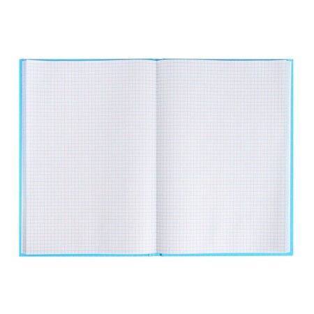 Book of accounting, 96 sheets, cardboard cover 7BC, newspaper block, cage, blue color-3