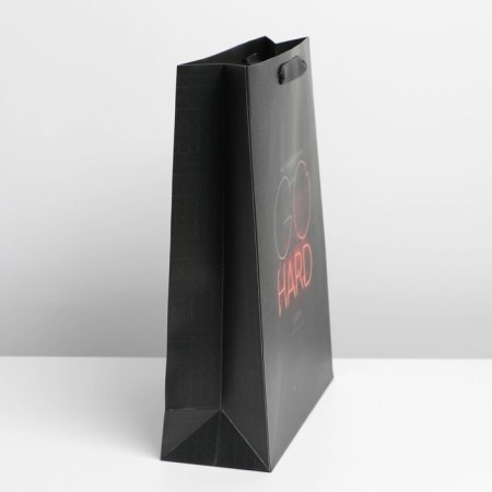 Package Gift Laminated Vertical, Packaging, Go Hard, L 31 x 40 x 11.5 cm-2