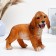 Pig a piggy bank "Puppy Cocker Spaniel" Red, 30x24x18cm