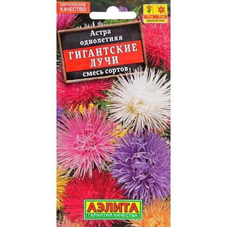 Flowers of Astra "Giant Rays", a mixture of colors, o, 0.2 g