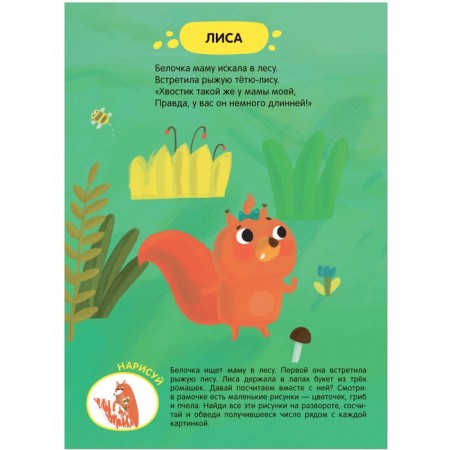 Tasks and tasks for kids. Squirrel in the forest-1