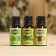 A set of essential oils pine, fir, cedar, "Dobroparov", 3 pcs of 17 ml