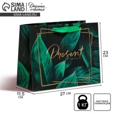 Gift Laminated Horizontal Package, Packaging, Present for You, ML 27 x 23 x 11.5 cm