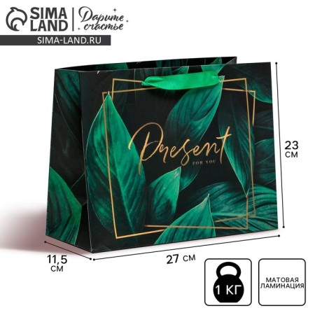 Gift Laminated Horizontal Package, Packaging, Present for You, ML 27 x 23 x 11.5 cm