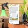 Cucumber seeds "Connie" F1, medium early, parthenocarpic, 0.25 g (10pcs)