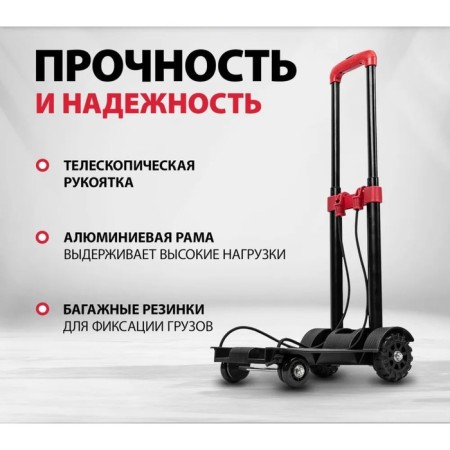 Carried trolley, carrying capacity 40 kg, 23x25x94 cm-9