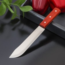 Knife for meat and steaks of the delay 