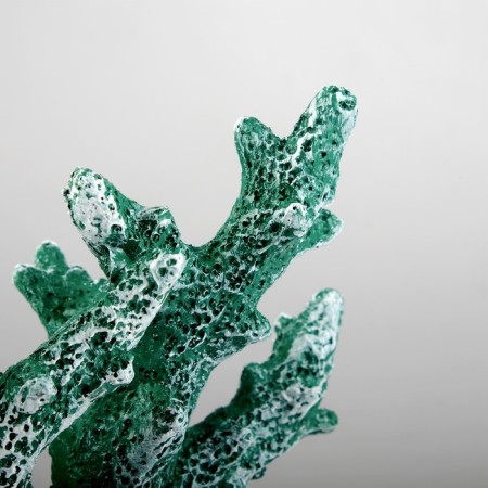 Interior souvenir "Coral" 24*19cm Green-2