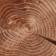 SPIL-DOSKA TORTSEVA "Oak", 20-25 x 3 cm