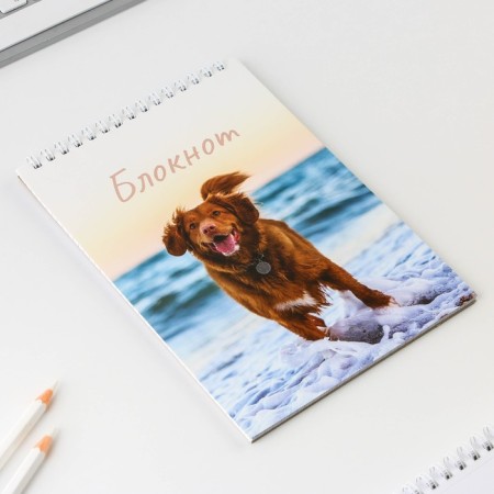 Блокнот А5 на гребне 40 л. «Собака»-1