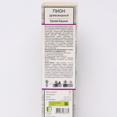 Pion tree peony (vaccinated on grassy) "White Tower", 1 pc, tube, spring 2025-1