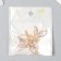 Decor for creativity Metal "Dragonfly" gold, rhinestones 4.3x3.8 cm