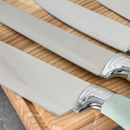 A set of kitchen knives on a stand, 6 objects: 5 knives 8.5 cm, 12 cm, 12 cm, 19.7 cm, 19 cm, scissors, blue color-2