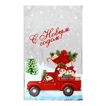 Gift Package "Fun New Year" 25 x 40 cm, colored metallized pattern