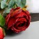 Artificial flowers "Rosa Solmus" D-7.5 cm 64 cm, red