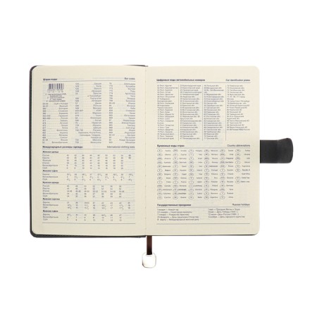 The diary of a non -section A5, 140l, cage, K/deputy, with a pen, in gift. box., Gray-10