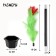 Set for showing tricks "Magic Flower"
