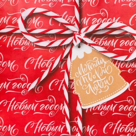 New Year. Package Paper Gift Craft "Gift 18 x 8 x 25 cm.-1