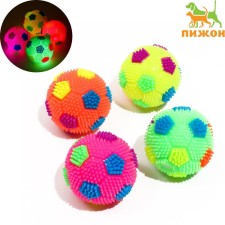 Ball glowing for dogs 