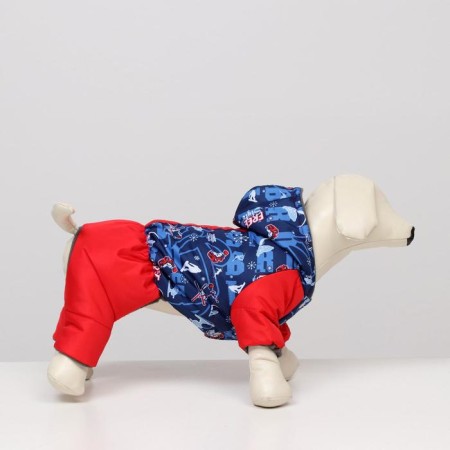 Zimovye jumpsuit for animals "Skier", S (DS 20-22, Osh 24-26, OG 32-34 cm), Mix-1