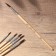 Drawing brush set of 5 pcs. pony “Create, dream, create” No. 1, 2, 3, 4, 5