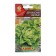 Salad seeds Berlin Yellow Kochny "Leader", 0.5 g,