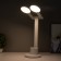 Sensory “circles” table lamp with organizer LED 20W USB battery 44x36x15 cm Risalux 78003