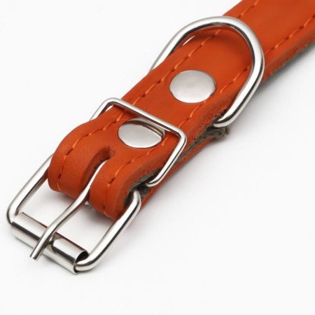 Collar combined leather/tarpaulin, dimensionless, 54 x 2.5 cm, Osh 17-45 cm, red-3