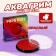 Aquagram Professional for the face and body, red color