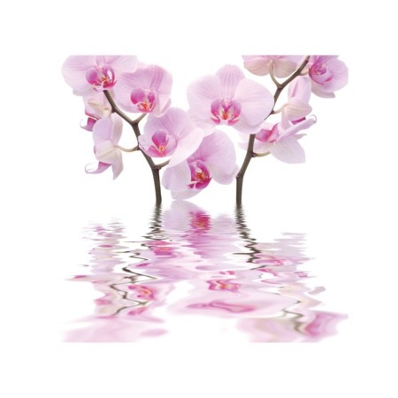 Organizer in a bath on suction cups "floating flowers", for storing toys and trifles, size 33x39 cm-1