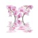 Organizer in a bath on suction cups "floating flowers", for storing toys and trifles, size 33x39 cm