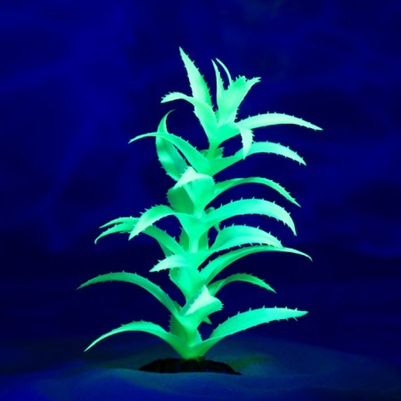 The plant is artificial aquarium, luminous, 20 cm, green-3
