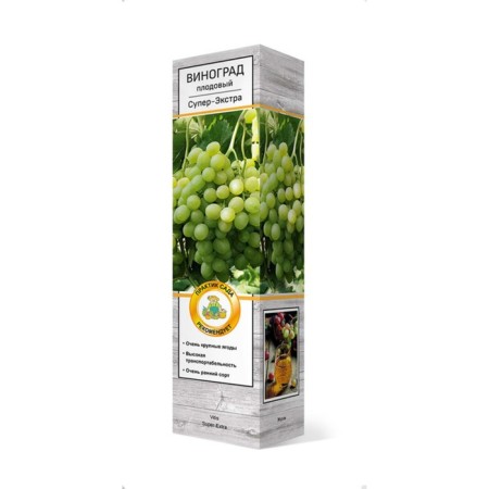 Fruit grapes "buffet", tube, 1 pc, spring 2024