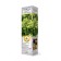 Fruit grapes "buffet", tube, 1 pc, spring 2024
