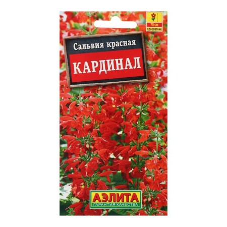 Salvia flowers "Cardinal", o, 0.1 g