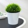 Kashpo for flowers with an insert "Arte", 600 ml, white-black color