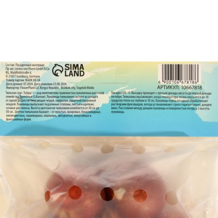 Tulip Parrogen Negrit Parrot (Sicret Parrrot), Rr 12+, 5 pcs, autumn 2024-2