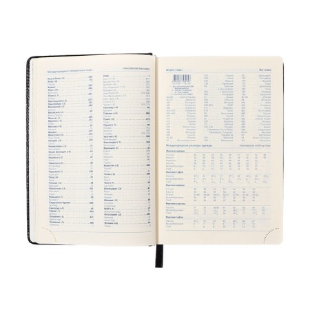 Dated diary 2024, A5, 168 sheets in the ruler, the leatherette "Nebraska", gold cut, black-8