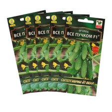 Cucumber seeds 