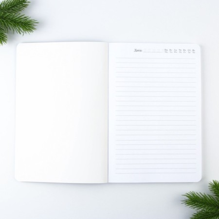 New Year. Diary Soft cover Software Tach, 24 x16.5 cm, 80 sheets of “miracles in the new year”-1