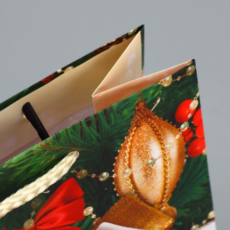 Package laminated vertical “Gift for you”, ML 21 x 25 x 8 cm, New Year-6