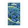 Flower seeds Ageratum blue, o, 0.1 g