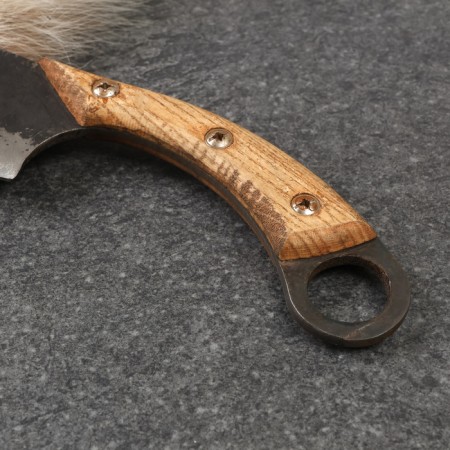 Cutting knife "oracle"-1
