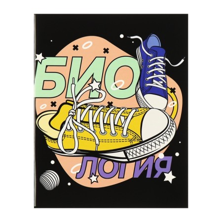 A set of object notebooks Calligrata Top "Sneakers", 48 sheets, 12 items, with reference material, cover coated cardboard, glossy lamination, offset block-13