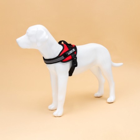 C9 harness is soft reflective, size m, og 55-65 cm, weight 11-20 kg, red-1